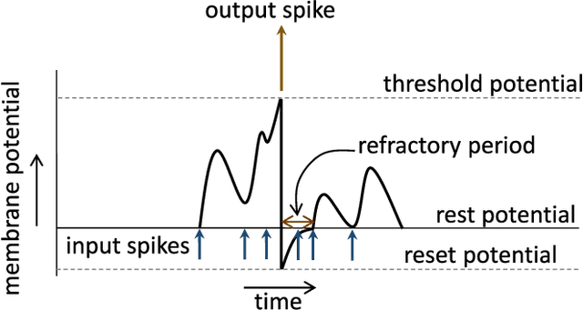 Figure 1 for STDP Based Pruning of Connections and Weight Quantization in Spiking Neural Networks for Energy Efficient Recognition