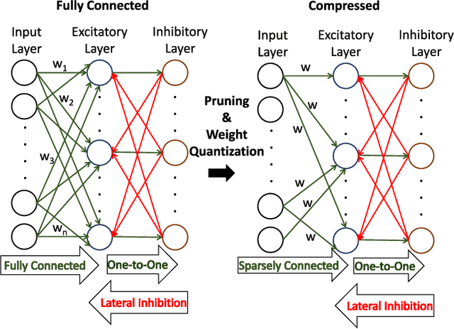 Figure 2 for STDP Based Pruning of Connections and Weight Quantization in Spiking Neural Networks for Energy Efficient Recognition