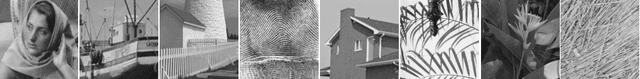 Figure 2 for Group-based Sparse Representation for Image Compressive Sensing Reconstruction with Non-Convex Regularization