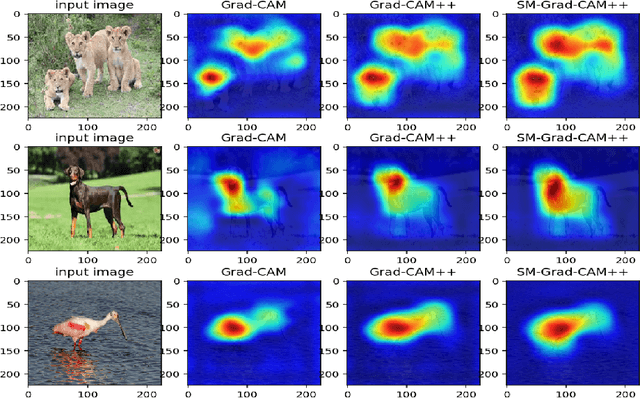 Figure 1 for Smooth Grad-CAM++: An Enhanced Inference Level Visualization Technique for Deep Convolutional Neural Network Models