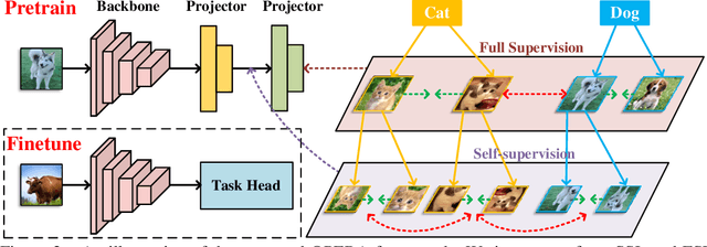 Figure 4 for OPERA: Omni-Supervised Representation Learning with Hierarchical Supervisions