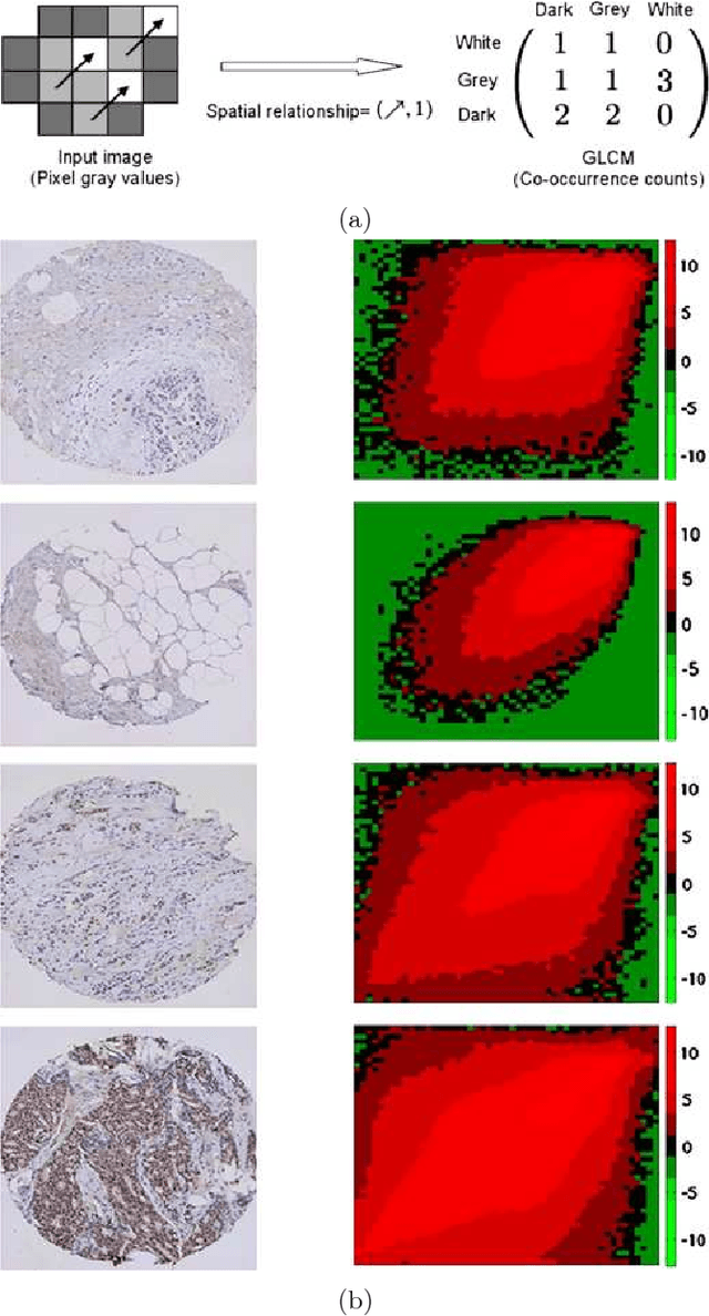 Figure 3 for Statistical methods for tissue array images - algorithmic scoring and co-training