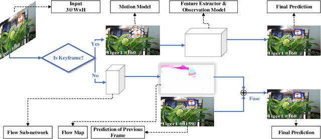 Figure 3 for Deep Flow Collaborative Network for Online Visual Tracking