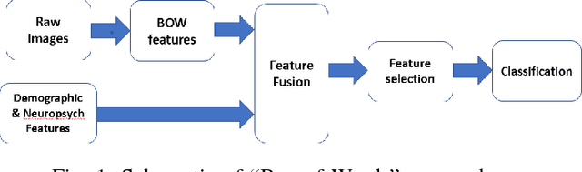 Figure 1 for Identifying Mild Traumatic Brain Injury Patients From MR Images Using Bag of Visual Words