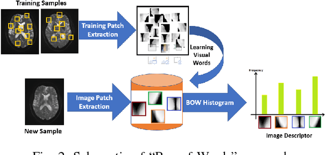 Figure 2 for Identifying Mild Traumatic Brain Injury Patients From MR Images Using Bag of Visual Words