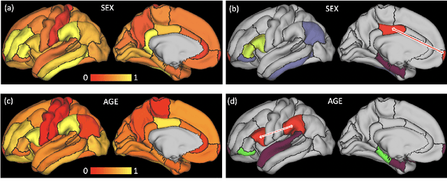 Figure 3 for Spatio-Temporal Graph Convolution for Functional MRI Analysis