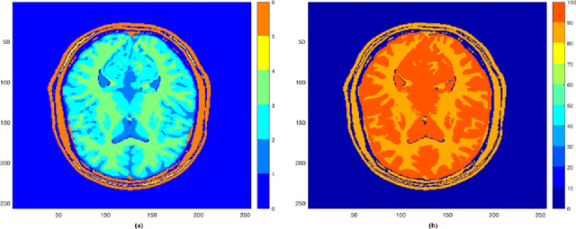 Figure 1 for CoverBLIP: scalable iterative matched filtering for MR Fingerprint recovery