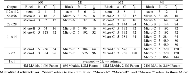 Figure 2 for MicroNet: Improving Image Recognition with Extremely Low FLOPs