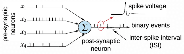 Figure 1 for DFSynthesizer: Dataflow-based Synthesis of Spiking Neural Networks to Neuromorphic Hardware
