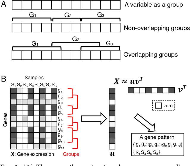 Figure 1 for Group-sparse SVD Models and Their Applications in Biological Data
