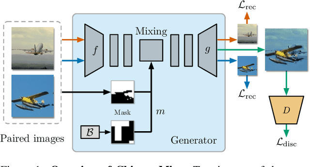 Figure 1 for Image Classification on Small Datasets via Masked Feature Mixing