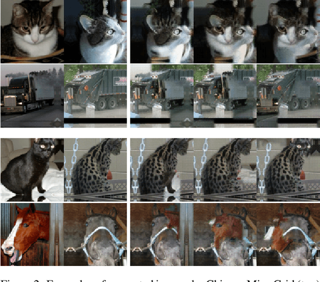 Figure 3 for Image Classification on Small Datasets via Masked Feature Mixing