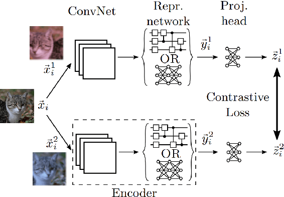 Figure 1 for Quantum Self-Supervised Learning