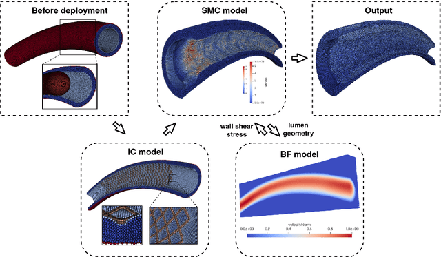Figure 1 for Uncertainty quantification of a 3D In-Stent Restenosis model with surrogate modelling