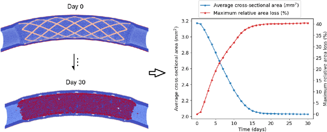 Figure 2 for Uncertainty quantification of a 3D In-Stent Restenosis model with surrogate modelling