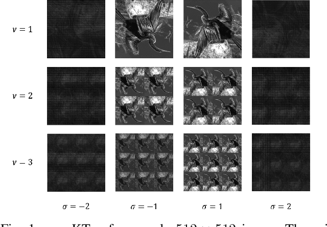 Figure 1 for Bespoke Fractal Sampling Patterns for Discrete Fourier Space via the Kaleidoscope Transform