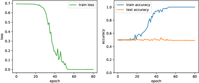 Figure 2 for Poly-time universality and limitations of deep learning