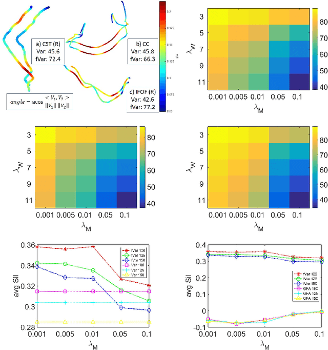 Figure 1 for White Matter Fiber Segmentation Using Functional Varifolds