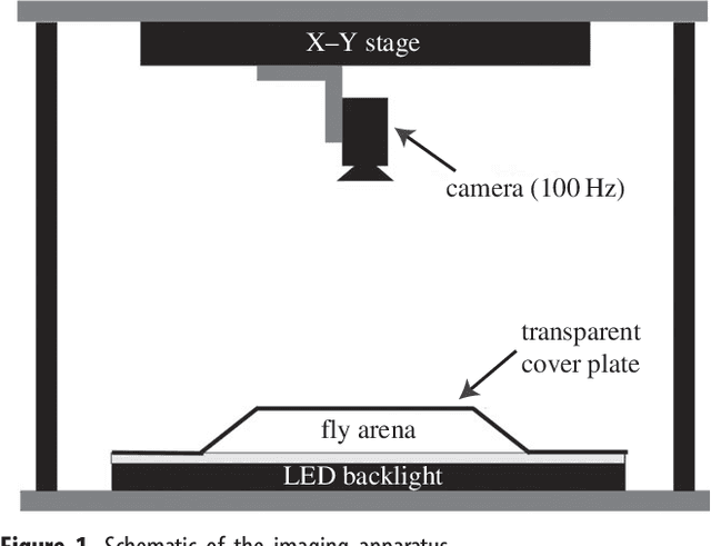 Figure 1 for Mapping the stereotyped behaviour of freely-moving fruit flies