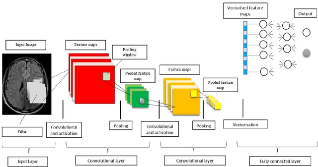 Figure 1 for Brain Tumor Detection and Classification Using a New Evolutionary Convolutional Neural Network