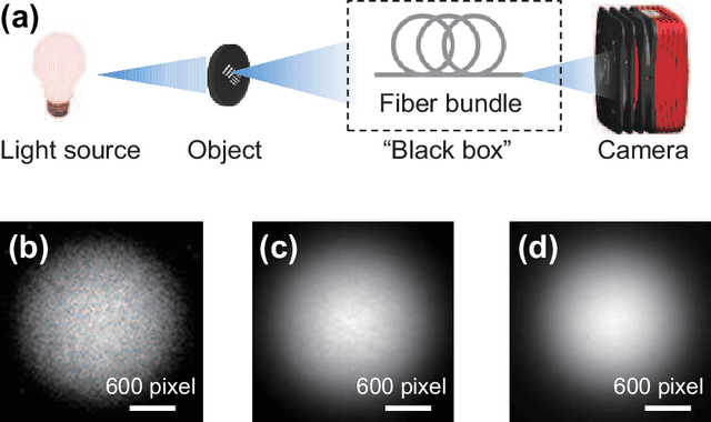 Figure 1 for Polarized hyperspectral imaging with single fiber bundle via incoherent light transmission matrix approach