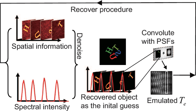 Figure 3 for Polarized hyperspectral imaging with single fiber bundle via incoherent light transmission matrix approach