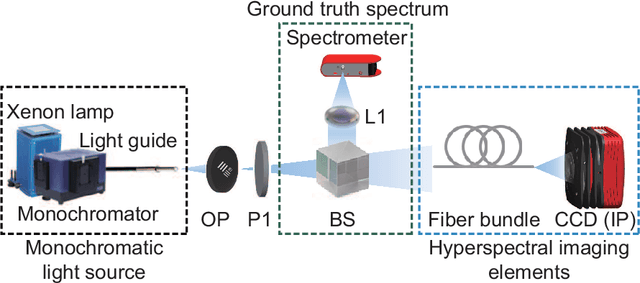 Figure 4 for Polarized hyperspectral imaging with single fiber bundle via incoherent light transmission matrix approach