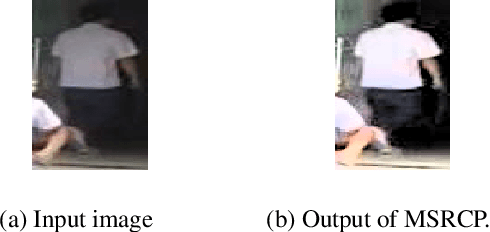 Figure 3 for Color inference from semantic labeling for person search in videos