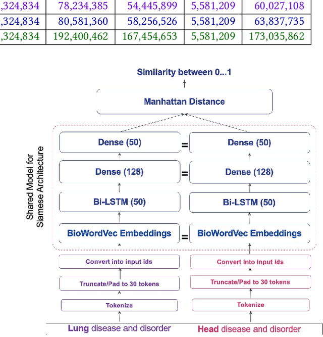 Figure 2 for UVA Resources for the Biomedical Vocabulary Alignment at Scale in the UMLS Metathesaurus