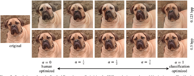 Figure 3 for Lossy Image Compression with Recurrent Neural Networks: from Human Perceived Visual Quality to Classification Accuracy