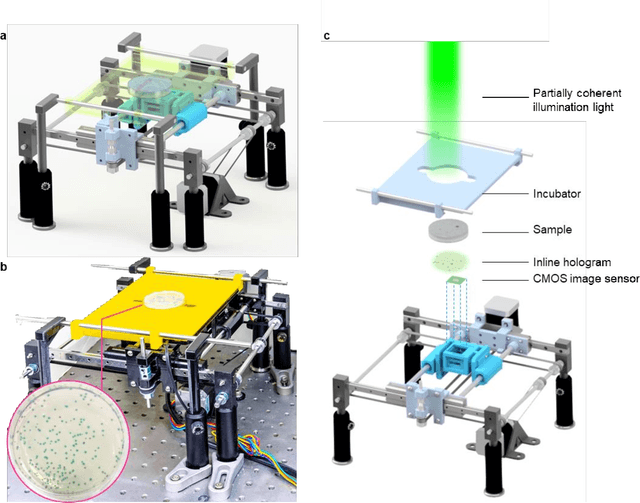 Figure 1 for Early-detection and classification of live bacteria using time-lapse coherent imaging and deep learning