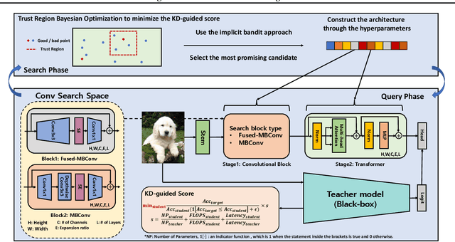 Figure 4 for Revisiting Architecture-aware Knowledge Distillation: Smaller Models and Faster Search