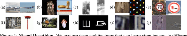 Figure 1 for Learning multiple visual domains with residual adapters