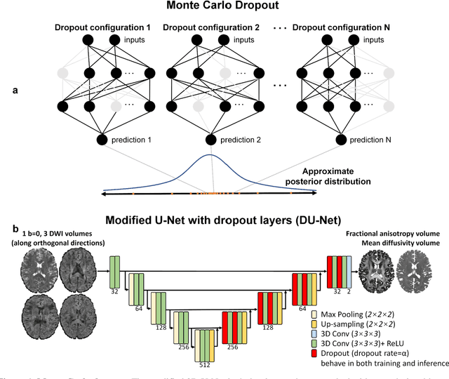 Figure 1 for Quantifying the uncertainty of neural networks using Monte Carlo dropout for deep learning based quantitative MRI