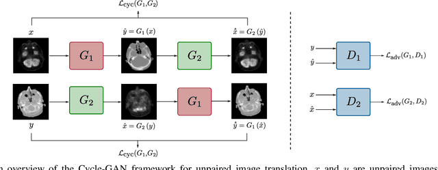 Figure 1 for Unsupervised Medical Image Translation Using Cycle-MedGAN