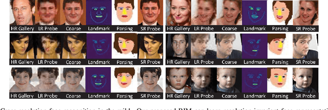 Figure 1 for Cross-Resolution Face Recognition via Prior-Aided Face Hallucination and Residual Knowledge Distillation