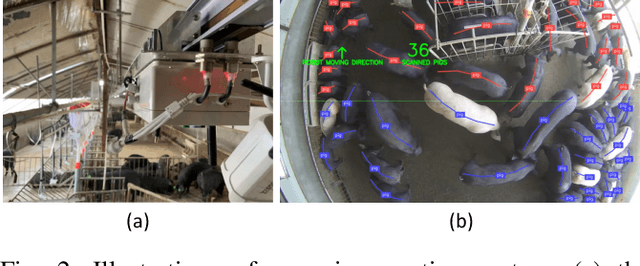 Figure 2 for Efficient Pig Counting in Crowds with Keypoints Tracking and Spatial-aware Temporal Response Filtering