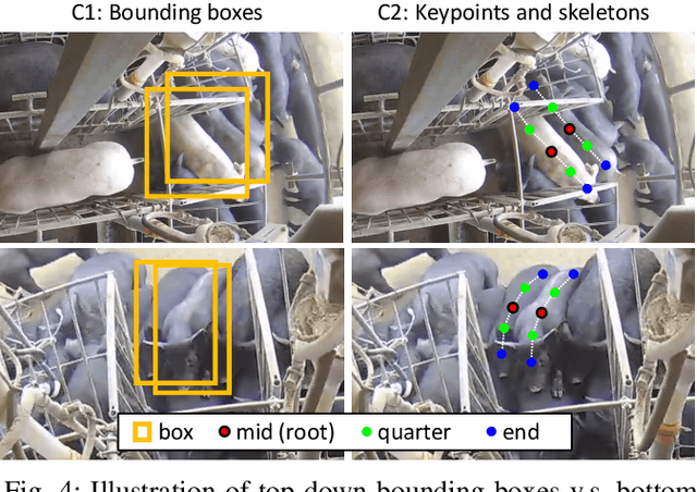 Figure 4 for Efficient Pig Counting in Crowds with Keypoints Tracking and Spatial-aware Temporal Response Filtering