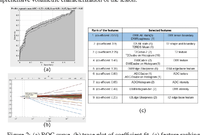 Figure 3 for Computerized Multiparametric MR image Analysis for Prostate Cancer Aggressiveness-Assessment