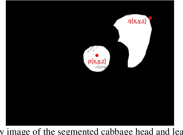 Figure 3 for Volume and leaf area calculation of cabbage with a neural network-based instance segmentation