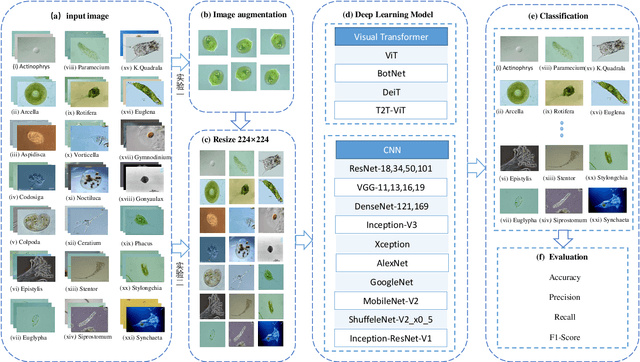 Figure 1 for A Comparison of Deep Learning Classification Methods on Small-scale Image Data set: from Converlutional Neural Networks to Visual Transformers