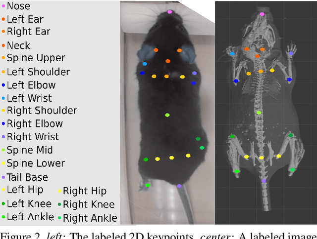 Figure 3 for Optical Mouse: 3D Mouse Pose From Single-View Video