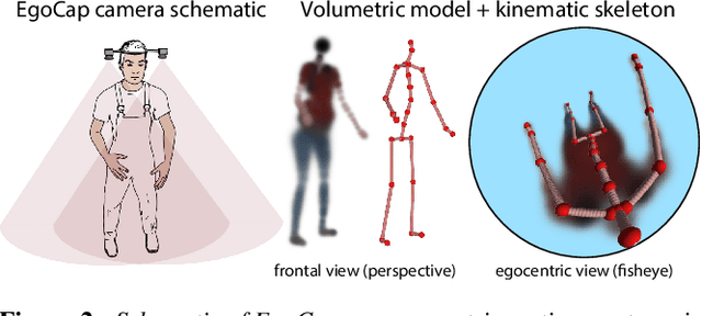 Figure 2 for EgoCap: Egocentric Marker-less Motion Capture with Two Fisheye Cameras