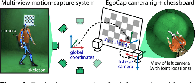 Figure 3 for EgoCap: Egocentric Marker-less Motion Capture with Two Fisheye Cameras