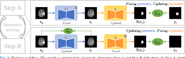 Figure 2 for Harmonizing Pathological and Normal Pixels for Pseudo-healthy Synthesis