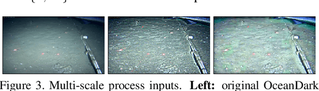 Figure 4 for L^2UWE: A Framework for the Efficient Enhancement of Low-Light Underwater Images Using Local Contrast and Multi-Scale Fusion