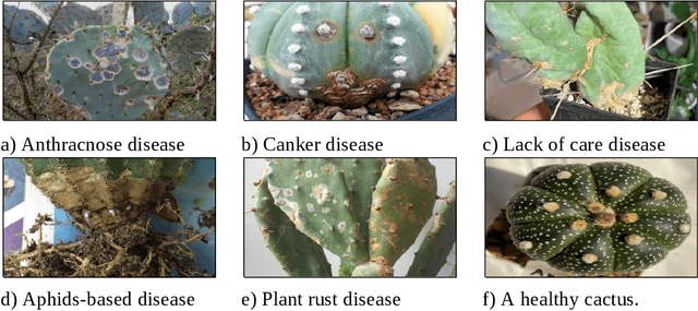 Figure 1 for Open source disease analysis system of cactus by artificial intelligence and image processing