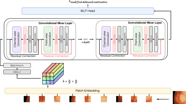 Figure 3 for Joint Debiased Representation and Image Clustering Learning with Self-Supervision