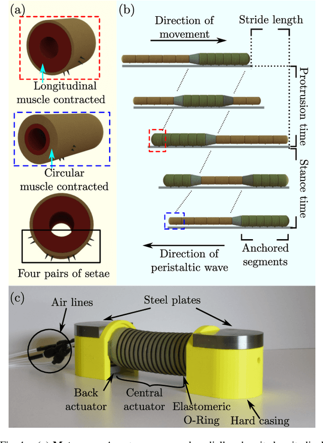 Figure 1 for An Earthworm-Inspired Soft Crawling Robot Controlled by Friction