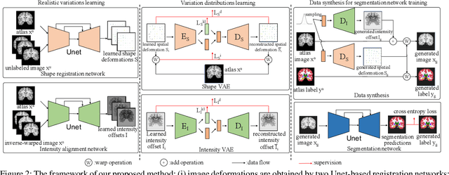 Figure 3 for Modeling the Probabilistic Distribution of Unlabeled Data forOne-shot Medical Image Segmentation